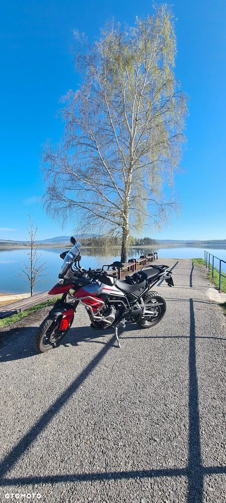 Triumph Tiger