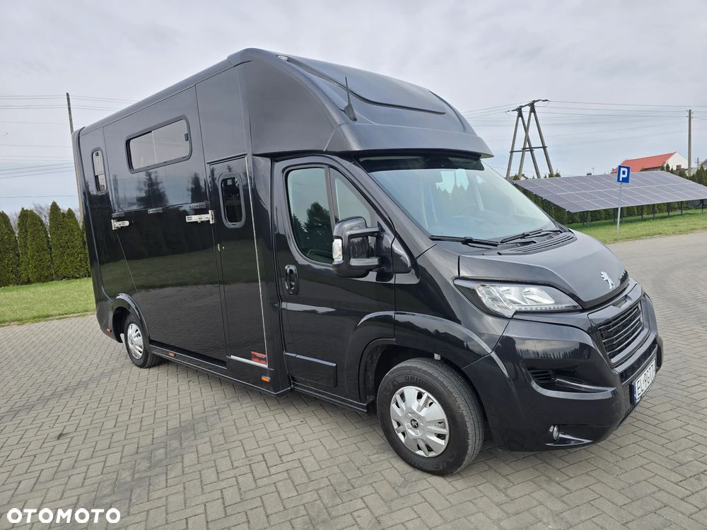 Peugeot Boxer-Koniowóz - 4