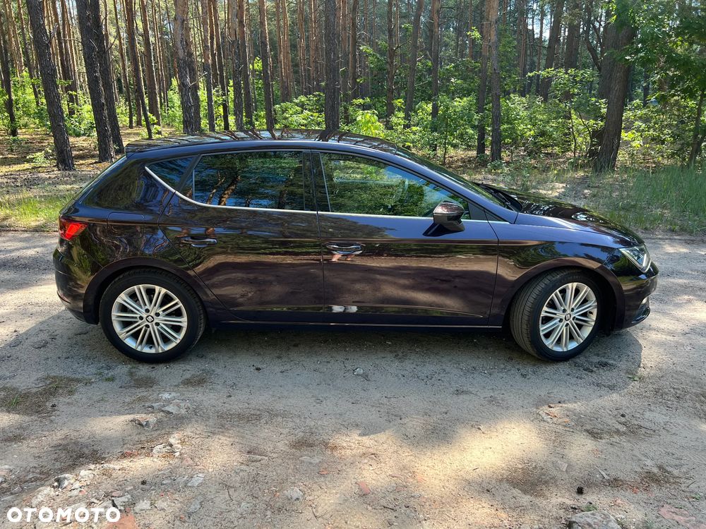 Seat Leon 1.5 EcoTSI Evo Xcellence S&S - 12