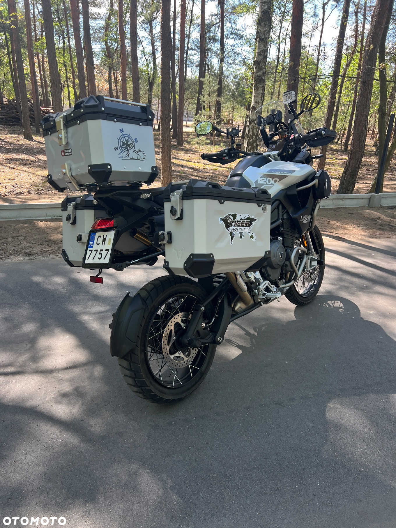 Triumph Tiger - 23