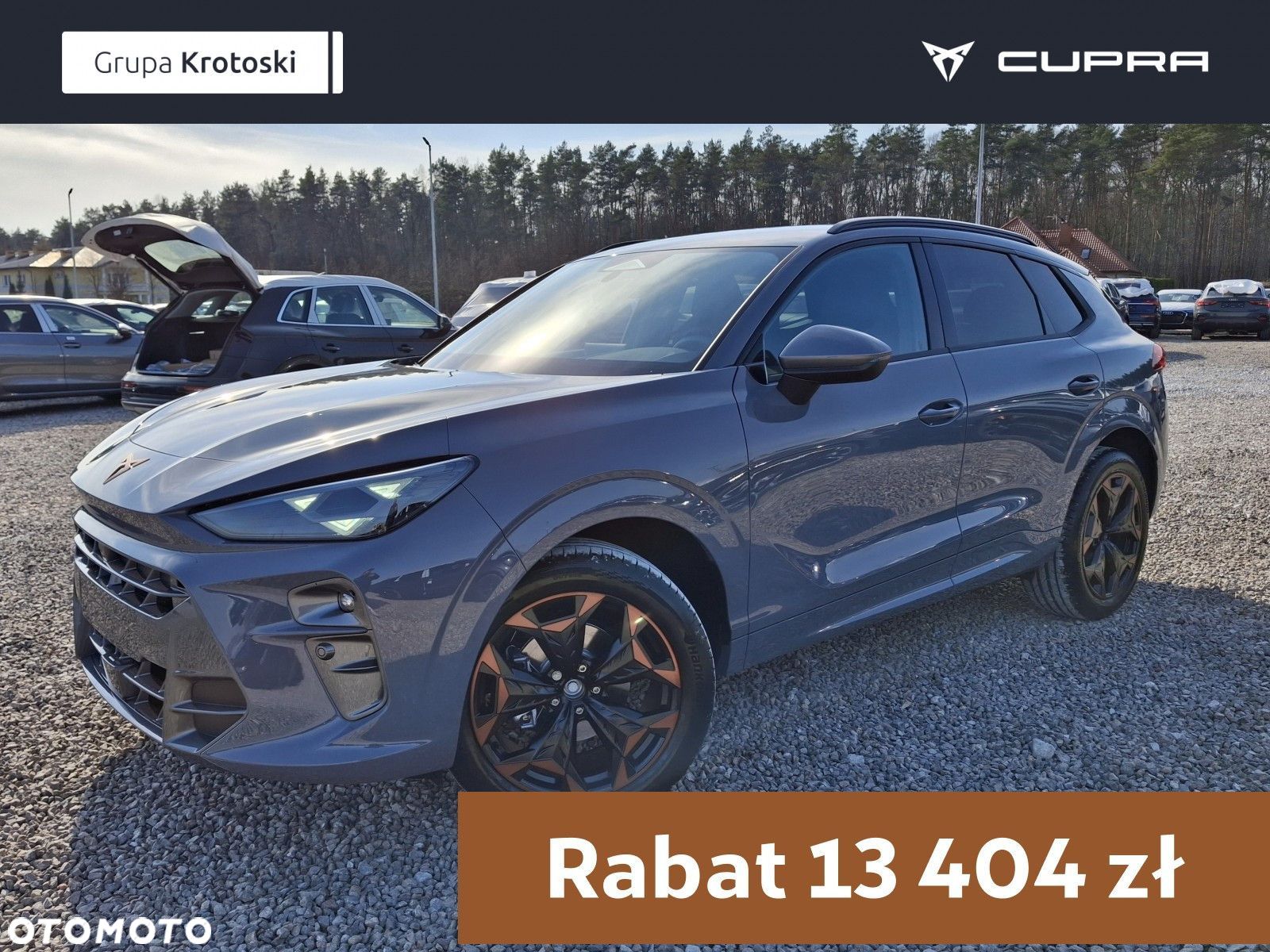 Cupra Terramar - 1