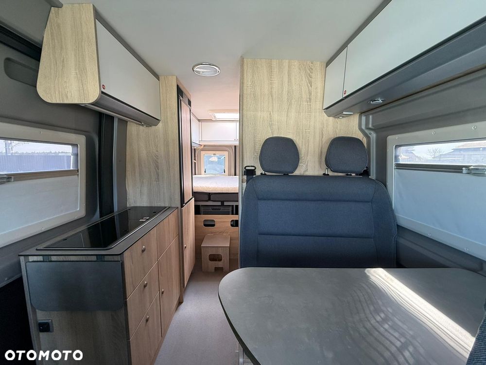 Inny Clever Celebration - 6