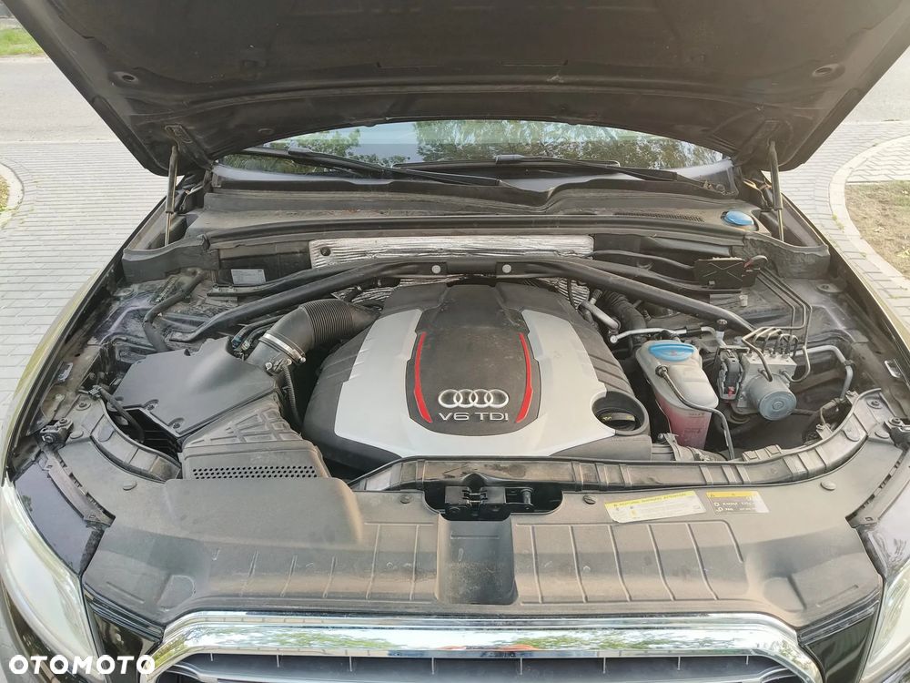 Audi SQ5 - 5