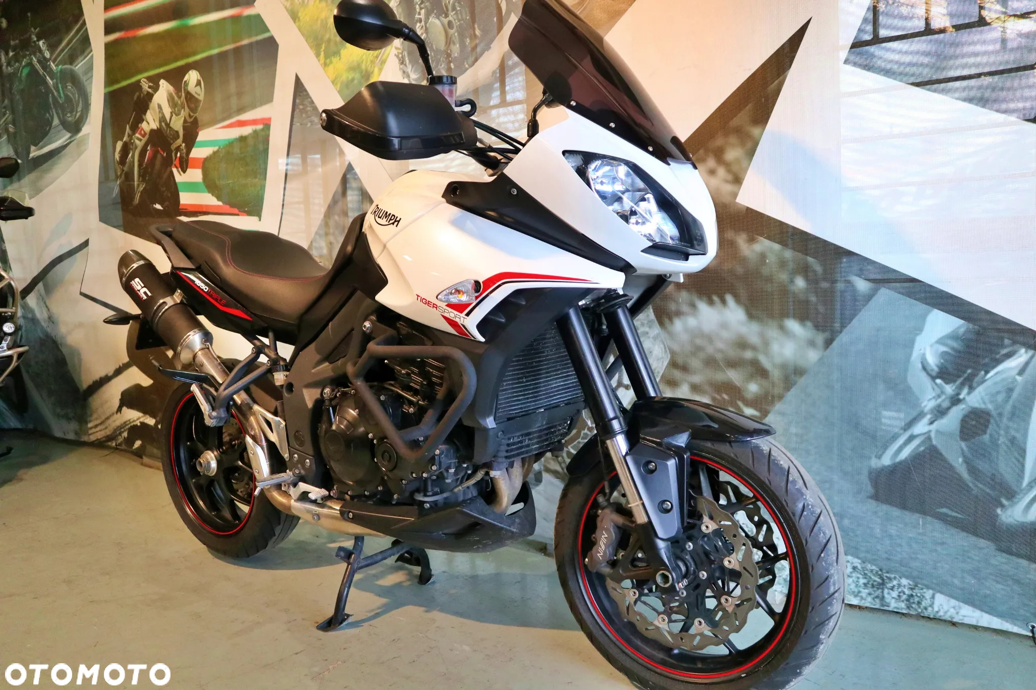 Triumph Tiger - 13