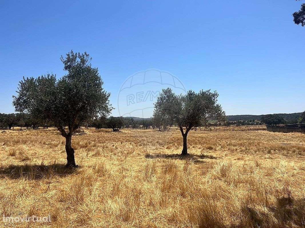 Quinta  para venda - Grande imagem: 2/15