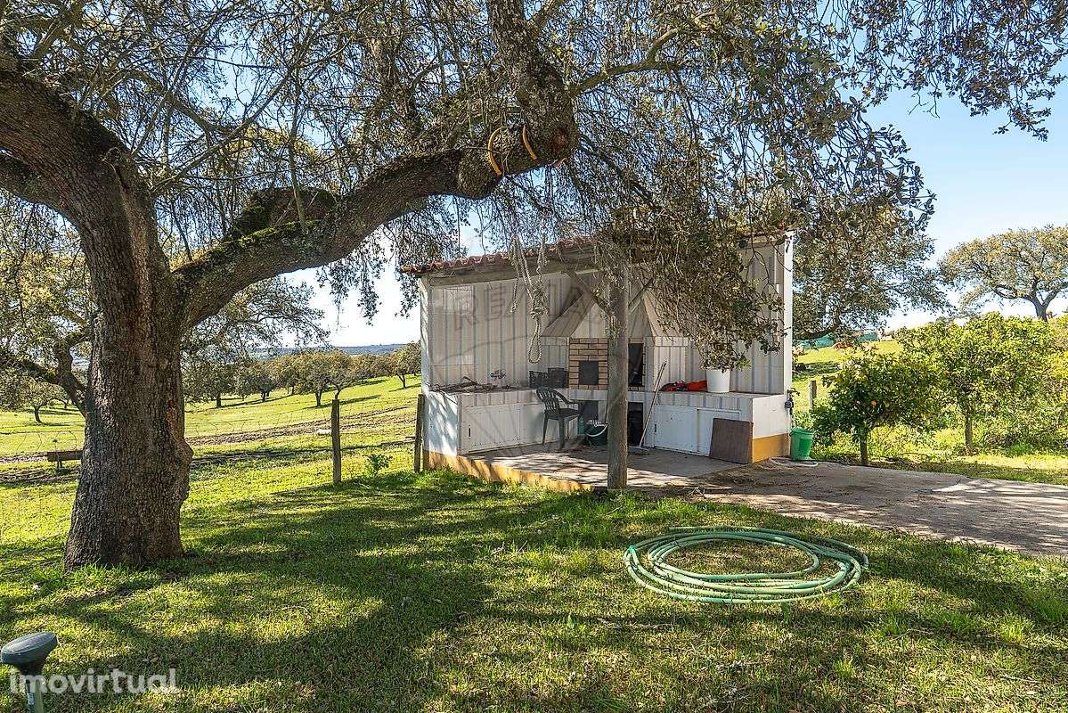 Quinta  para venda - Grande imagem: 5/49