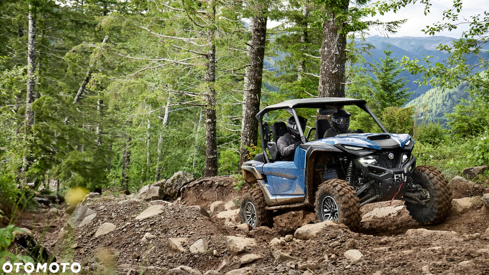 Yamaha Wolverine - 3
