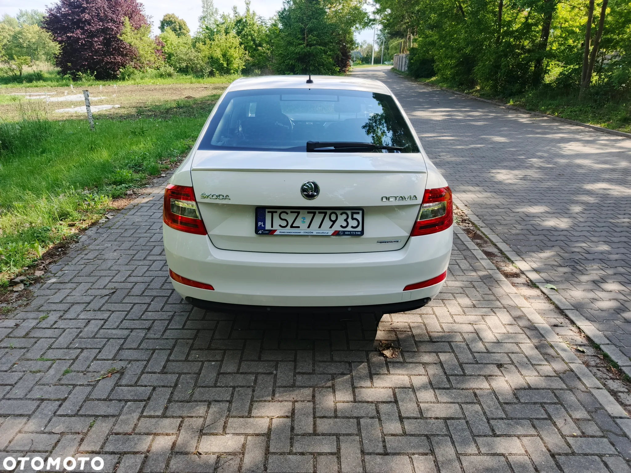 Skoda Octavia 1.6 TDI Greenline - 8