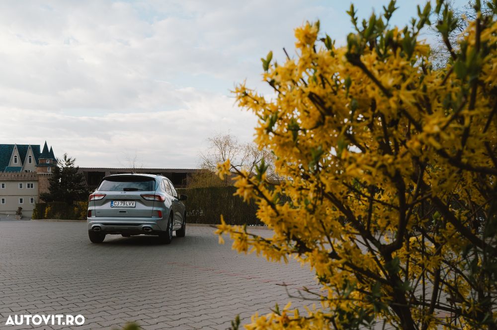 Ford Kuga 2.0 EcoBlue A8 AWD ST Line X - 8