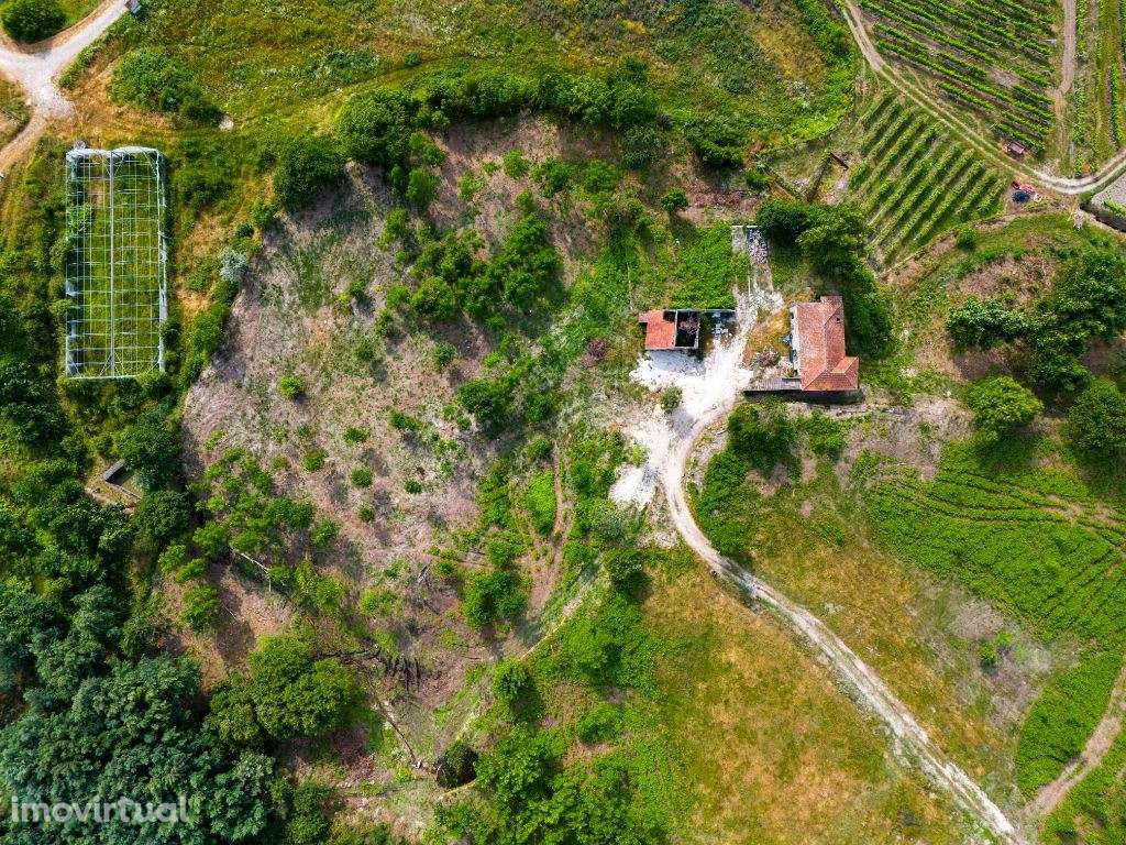 Quinta com 15 Hectares em Lufrei, Amarante  Oportunidade Única! - Grande imagem: 5/20