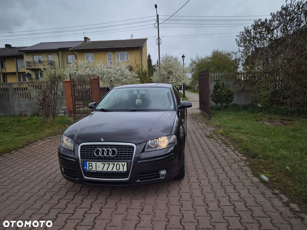 Audi A3 3-drzwiowe 1.9 TDI DPF Ambiente - 8