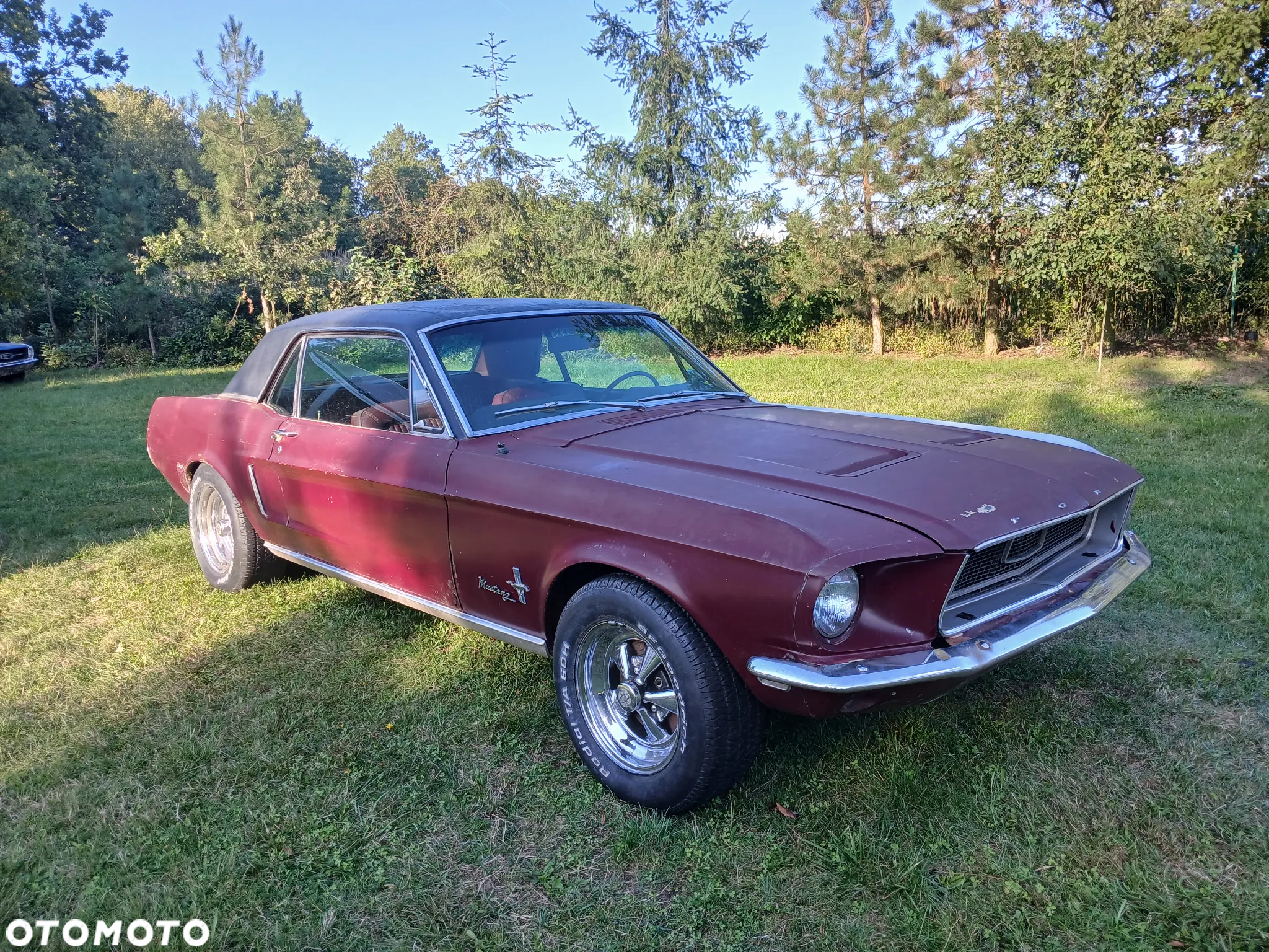 Ford Mustang - 4