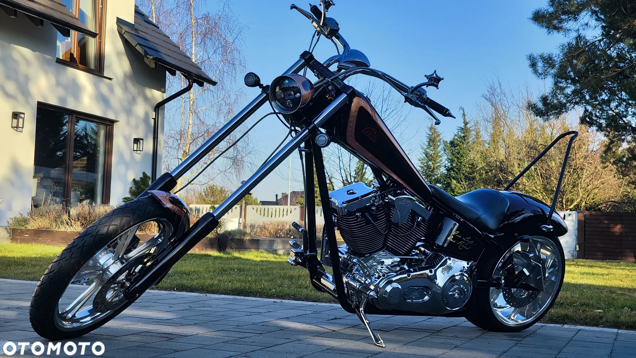 Harley-Davidson Softail - 10