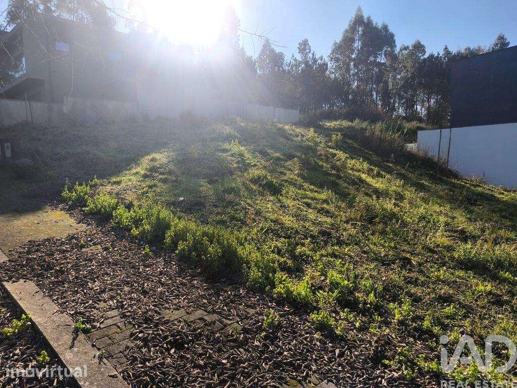 Terreno para construção em Forjães - Grande imagem: 2/9