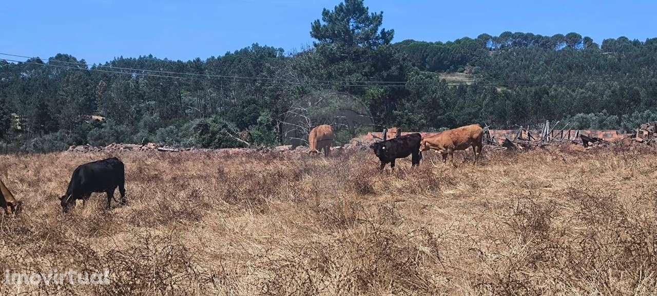 Moradia T2 para venda - Grande imagem: 4/45