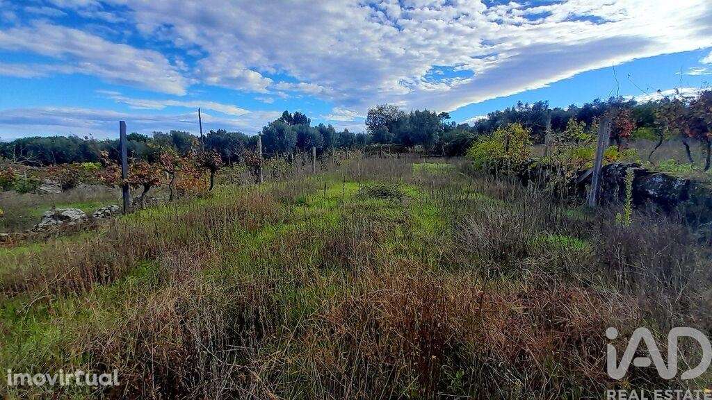 Terreno em Seixo da Beira de 14947,00 m2 - Grande imagem: 4/28
