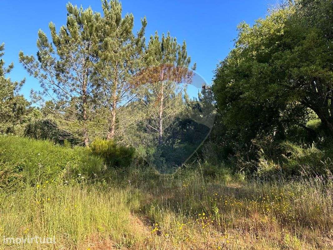 Terreno  para venda - Grande imagem: 3/8