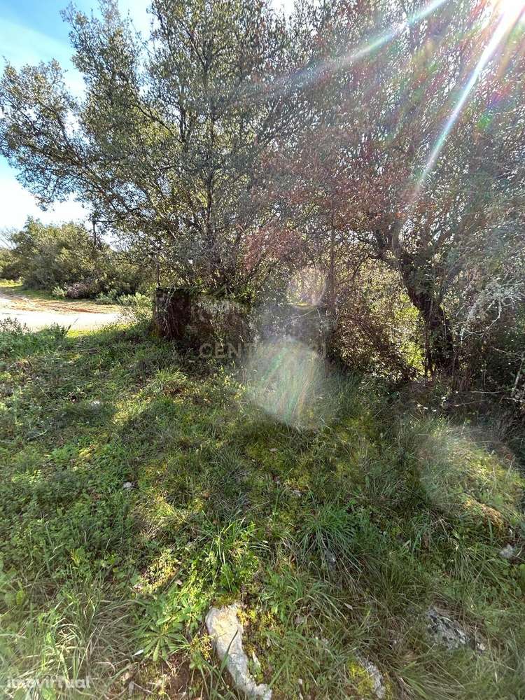 Terreno rústico Alcaria - Grande imagem: 3/12