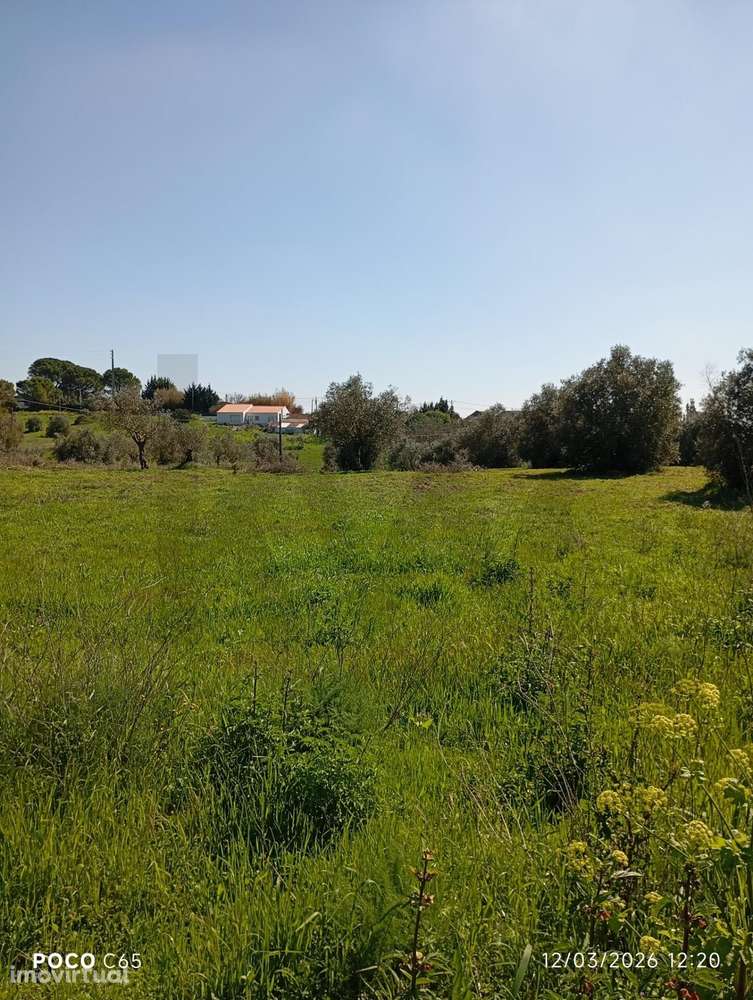 TERRENO PARA CONSTRUÇÃO - - Grande imagem: 5/6