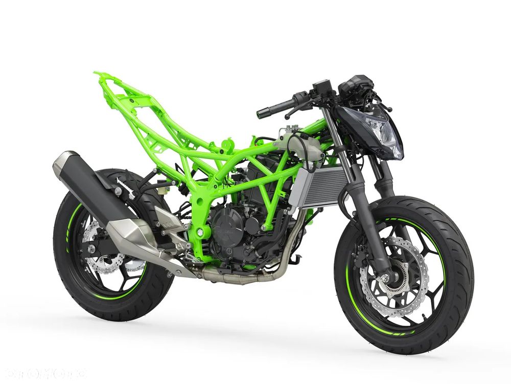 Kawasaki Ninja - 4