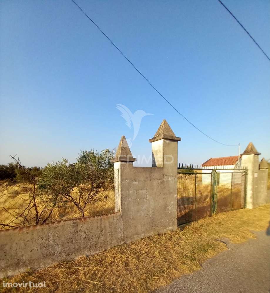 Terreno Rústico - Grande imagem: 3/4