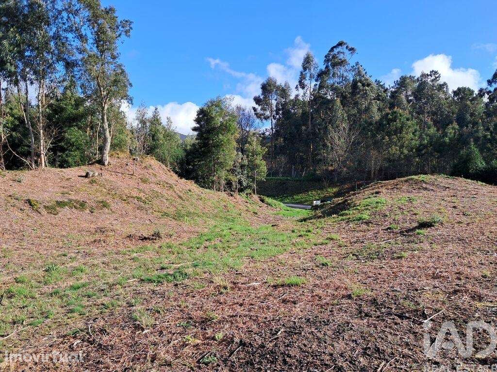 Terreno em Reboreda e Nogueira de 4514,00 m2 - Grande imagem: 4/7