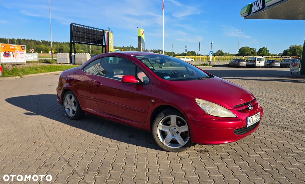 Peugeot 307 2.0 Sporty - 23