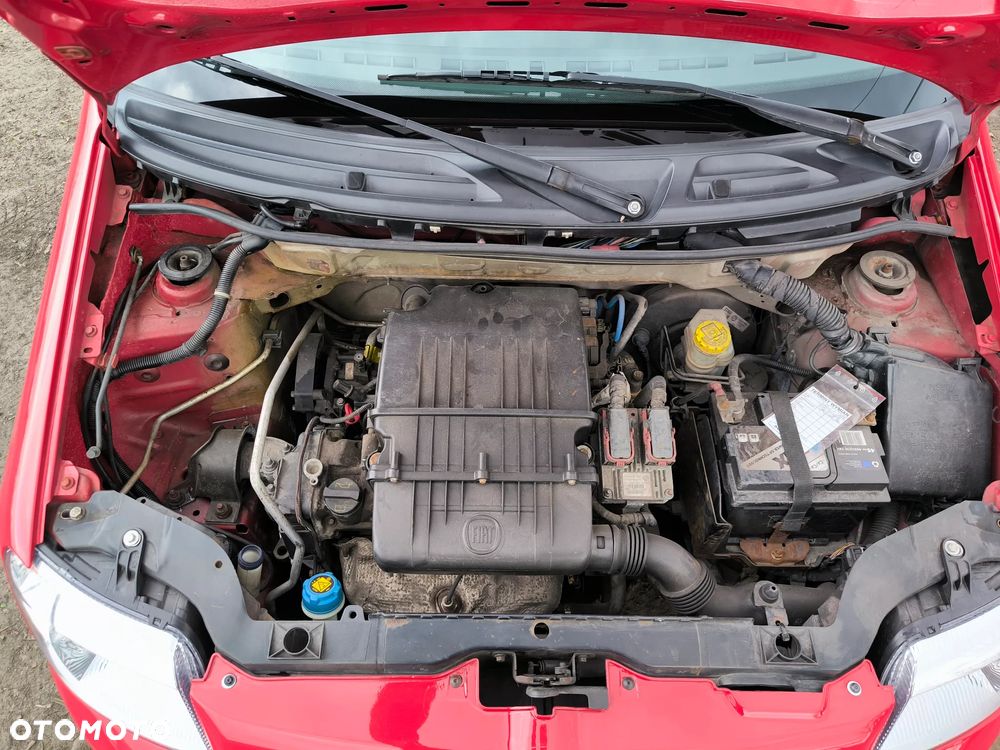 Fiat Panda 1.2 Fresh Eco - 16