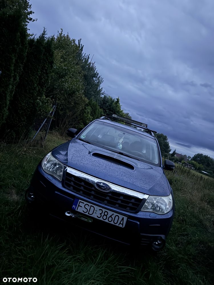 Subaru Forester - 8