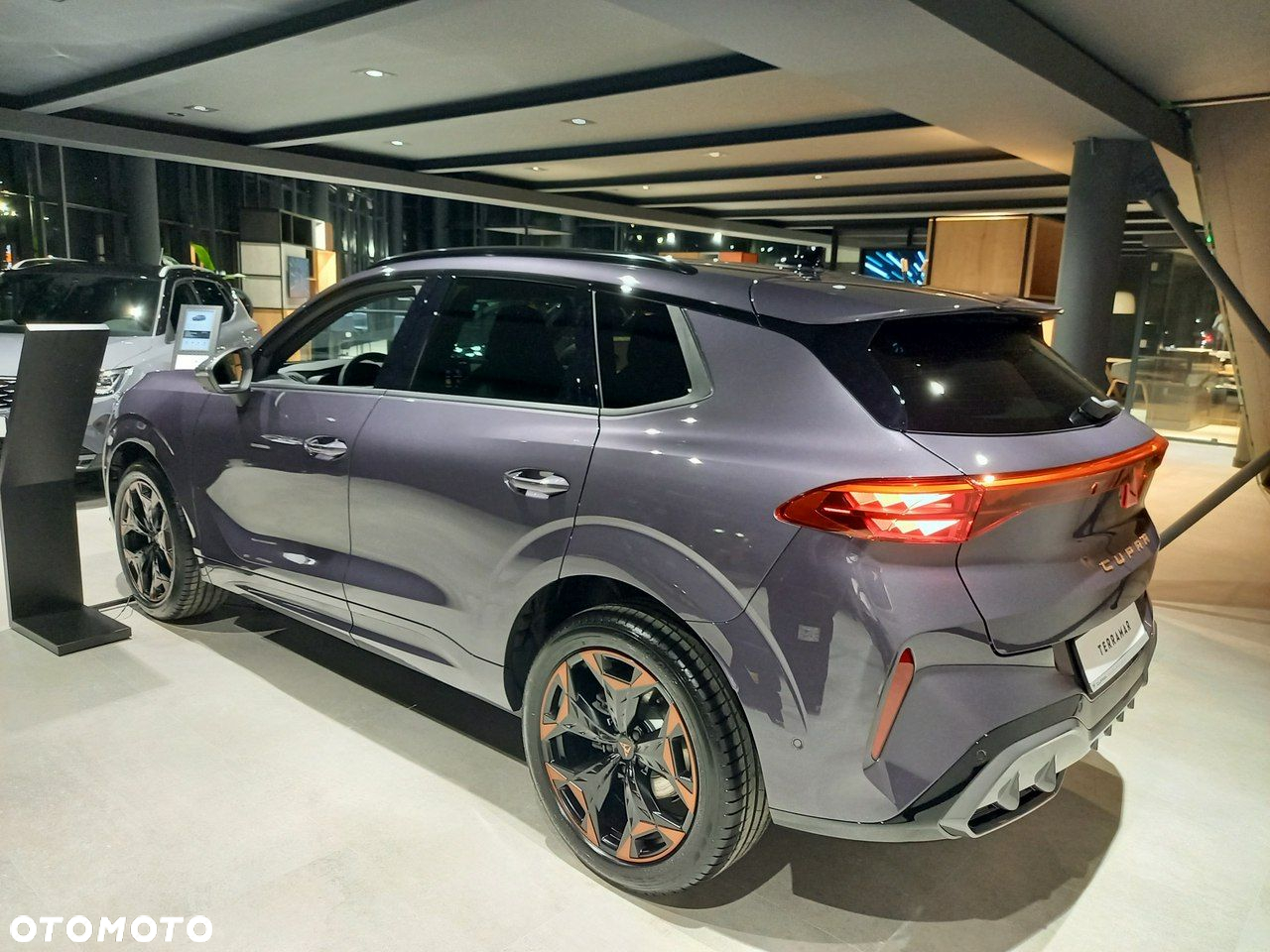 Cupra Terramar - 6