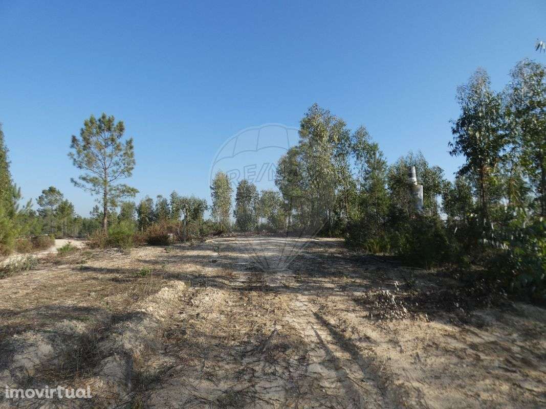 Moradia T4 para venda - Grande imagem: 3/14