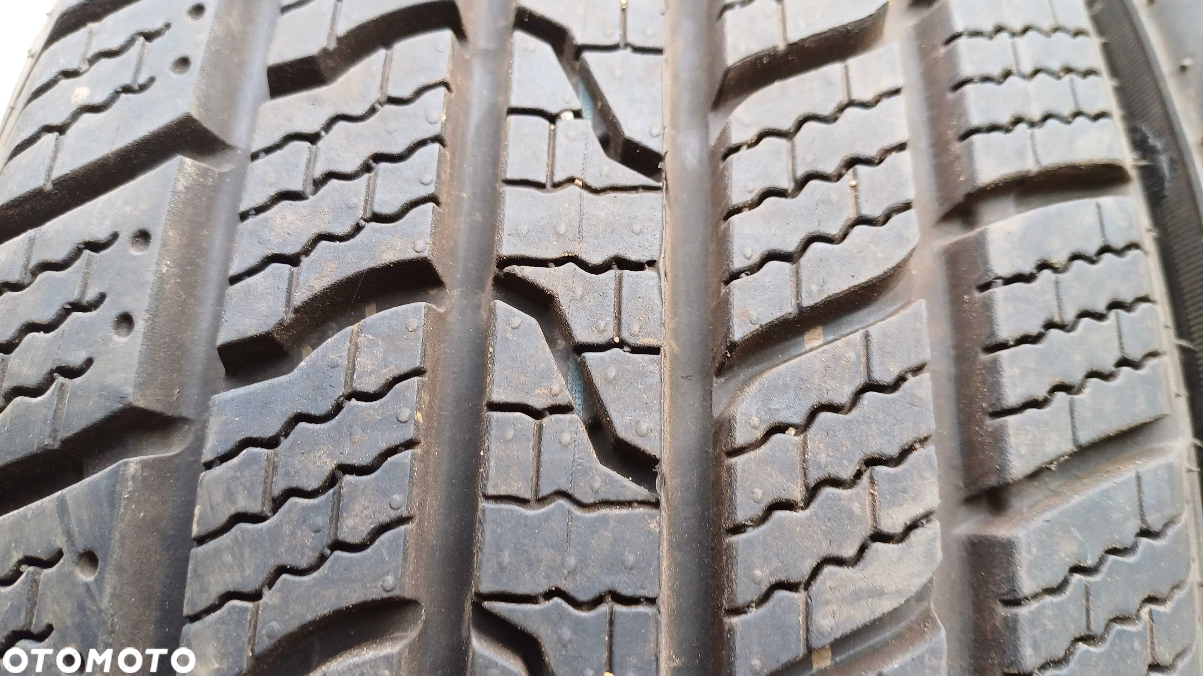 Royal Black Royal A/S 185/65 R15 92T XL 2023r - 2