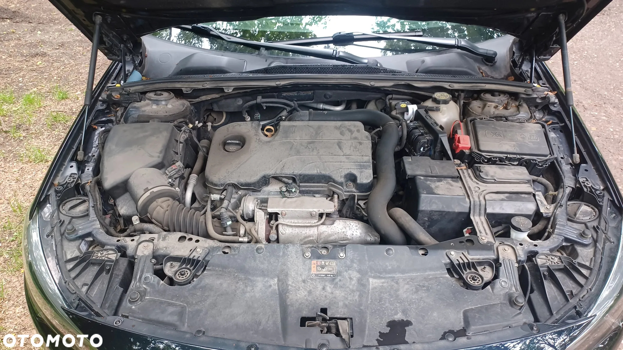 Opel Insignia 1.5 T Enjoy S&S - 13