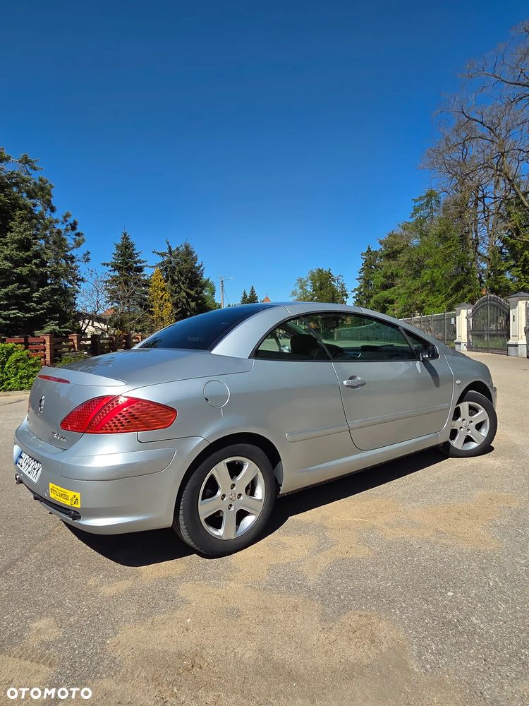 Peugeot 307 2.0 XS - 4