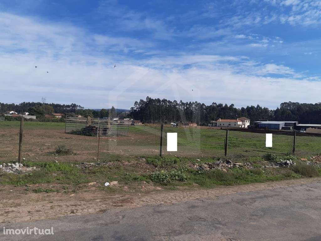 Terreno Urbano em Loureiro - Grande imagem: 2/2