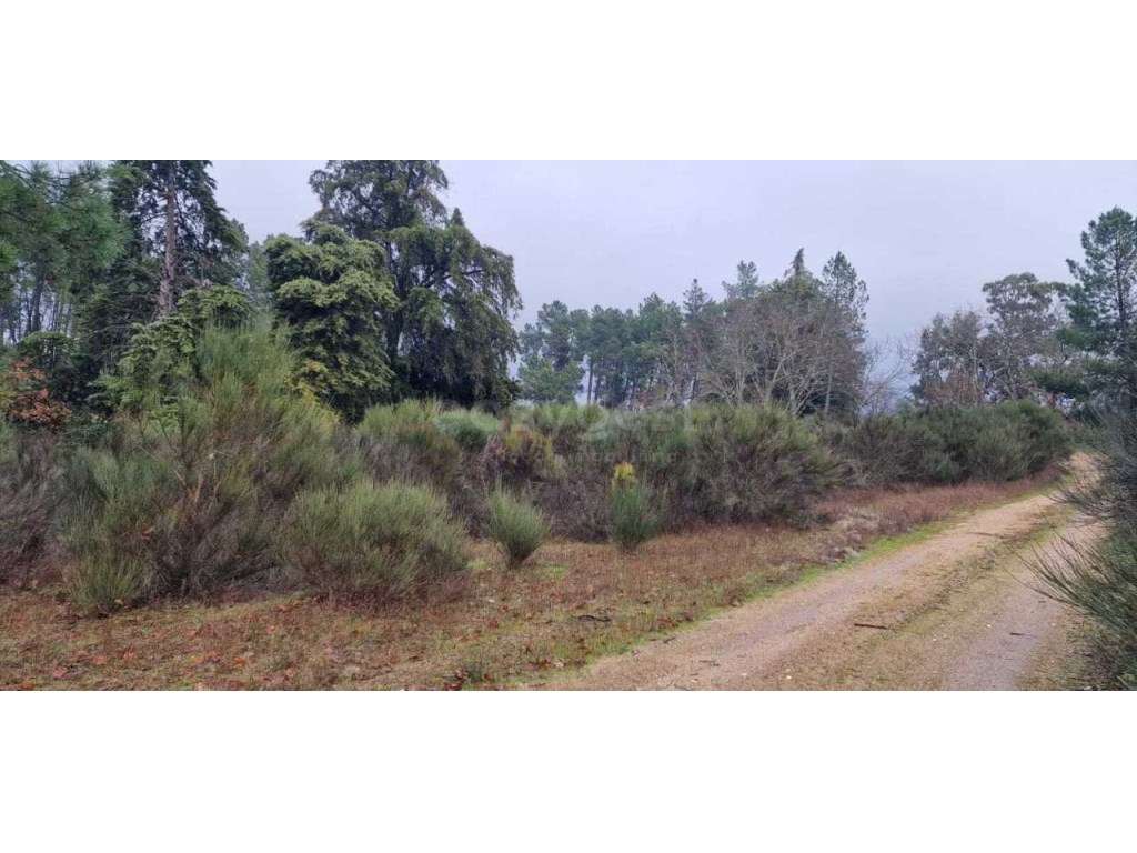 Terreno Rustico - 13 Hectares - Grande imagem: 2/16