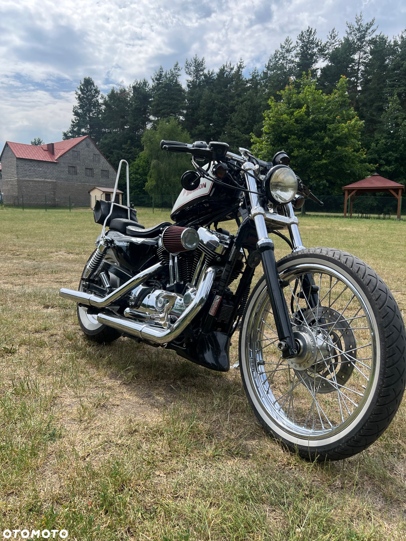 Harley-Davidson Sportster Custom 1200C - 5