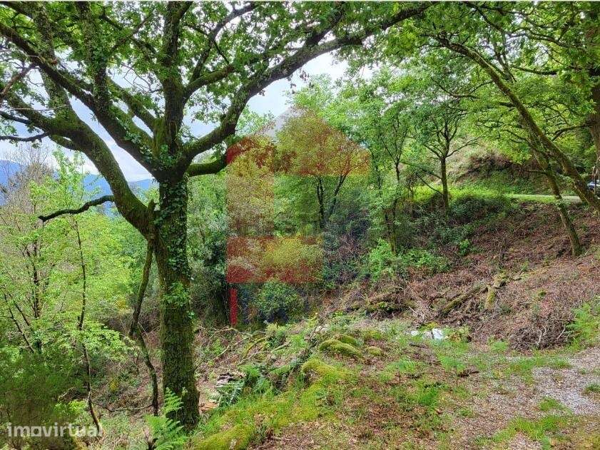 Terreno agrícola, Valdreu - Grande imagem: 5/12