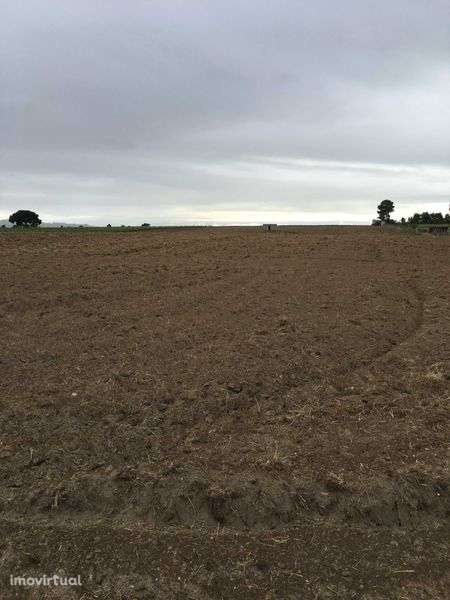 vendo terreno e casa  ecologica em palmela com projecto approvado - Grande imagem: 2/12