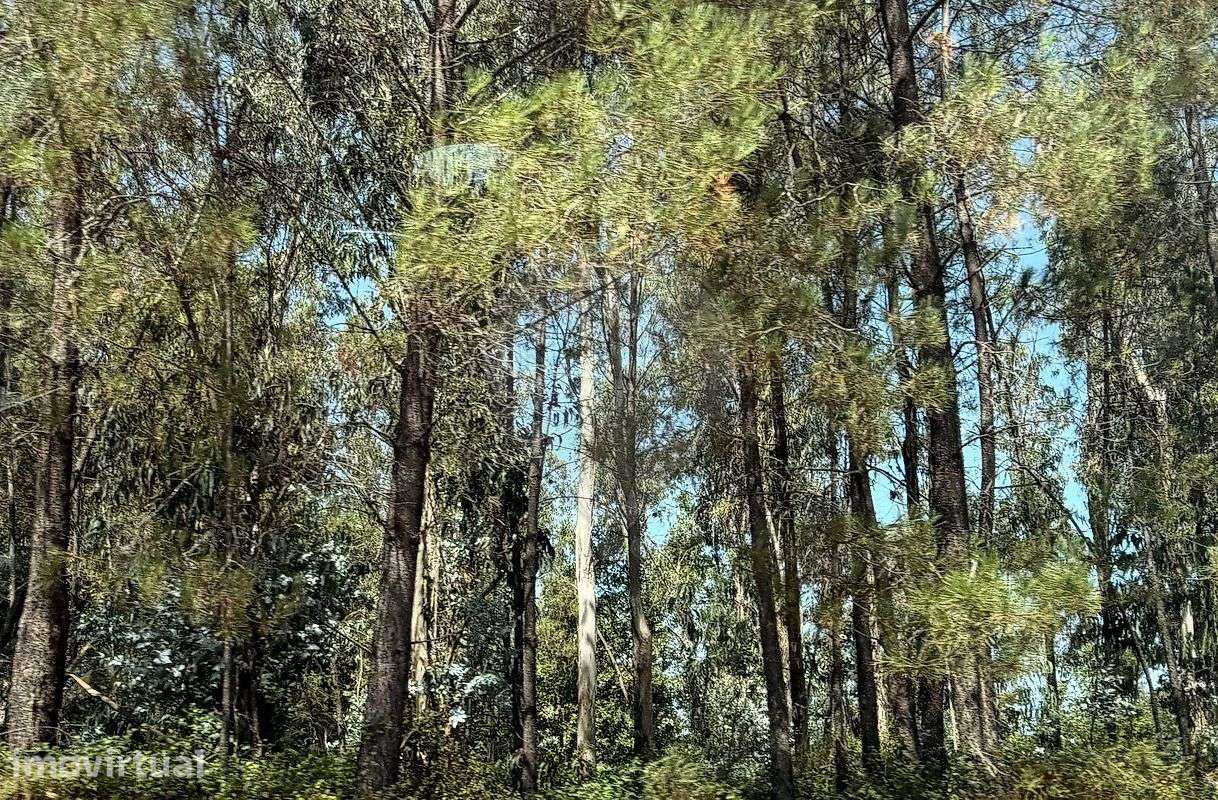 Terreno  para venda - Grande imagem: 2/3