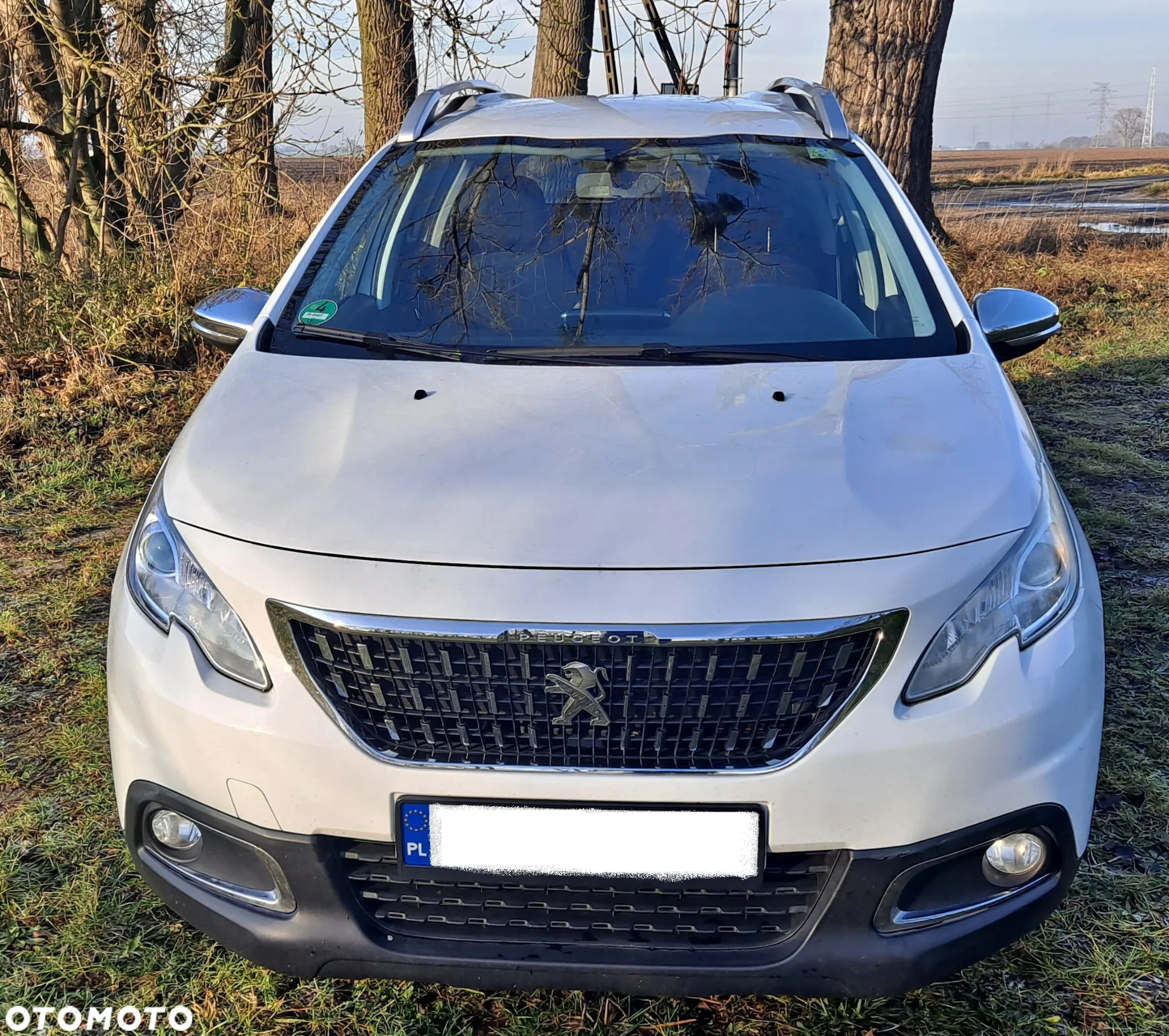 Peugeot 2008 1.2 Pure Tech Style EU6 - 4