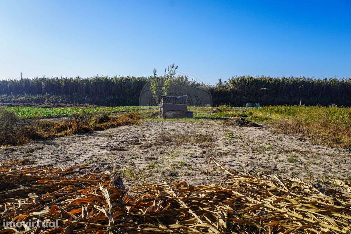 Terreno  para venda - Grande imagem: 3/4