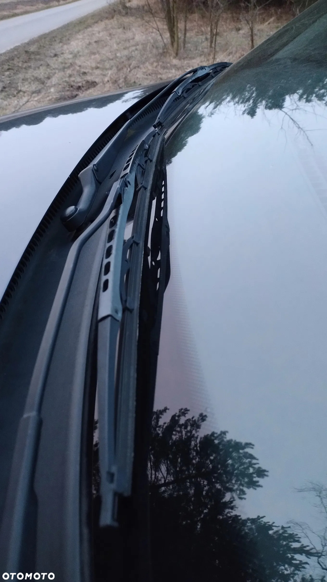 Volkswagen Passat - 29