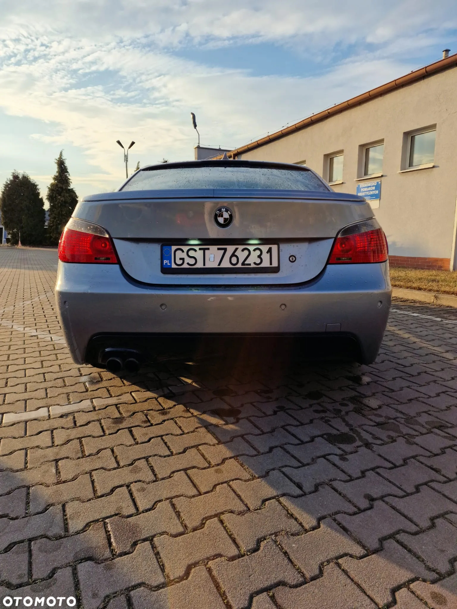 BMW Seria 5 545i - 8