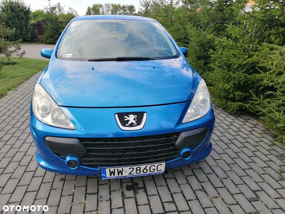 Peugeot 307 1.6 Premium - 10