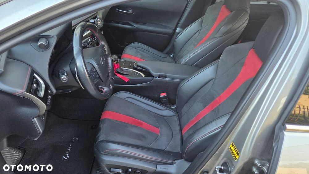 Lexus UX 250h F Sport 2WD - 13