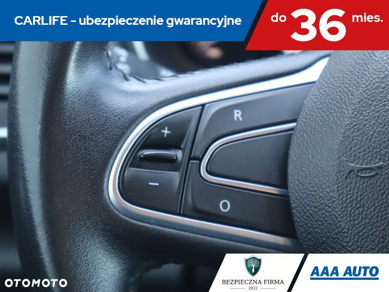Renault Megane - 19