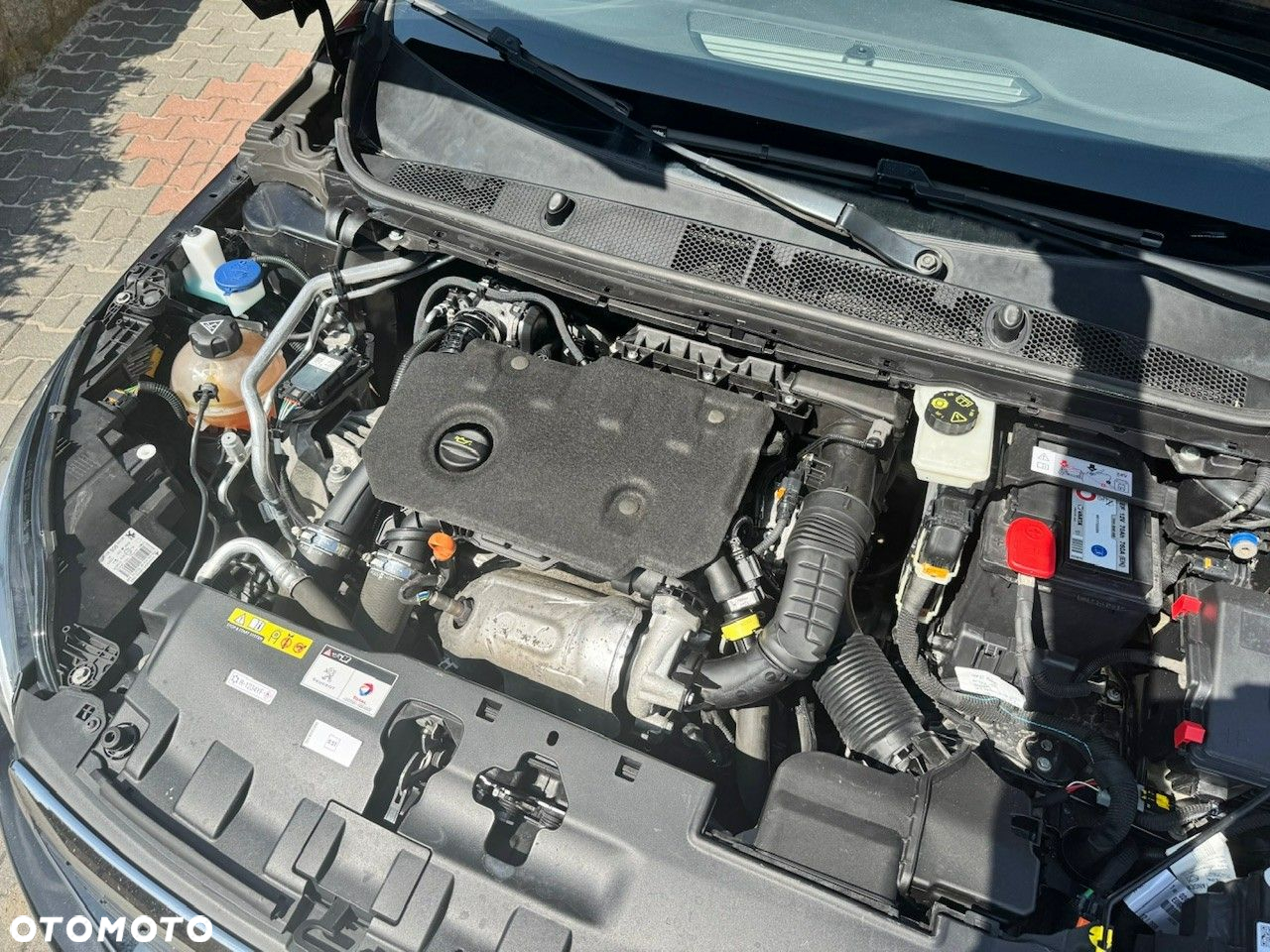 Peugeot 308 - 14