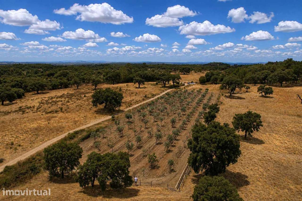 Terreno - Grande imagem: 5/8