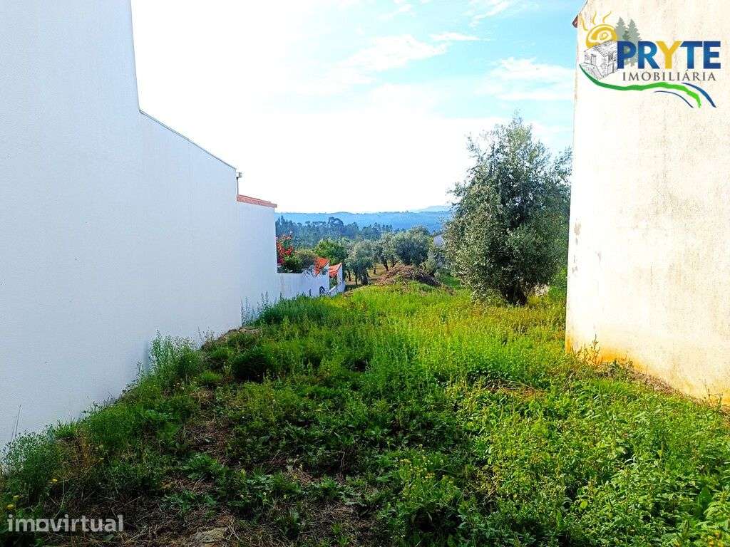 Terreno para construção plano com oliveiras situada a 2 km da Sertã - Grande imagem: 2/10